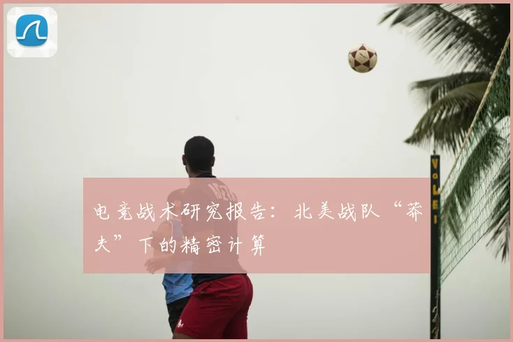 电竞战术研究报告：北美战队“莽夫”下的精密计算