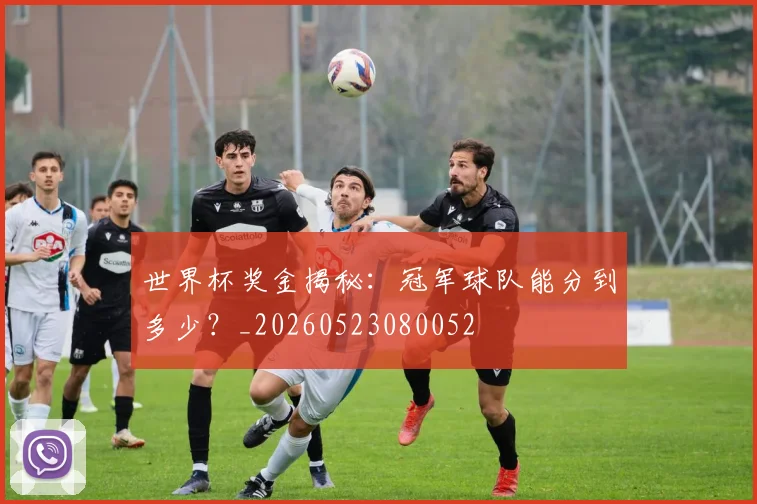世界杯奖金揭秘：冠军球队能分到多少？_20260523080052